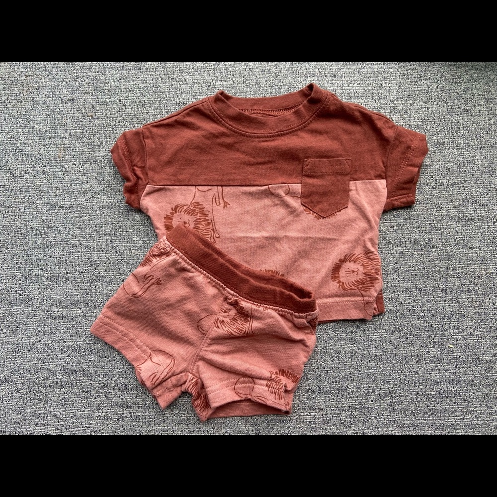 Newborn Lion Outfit